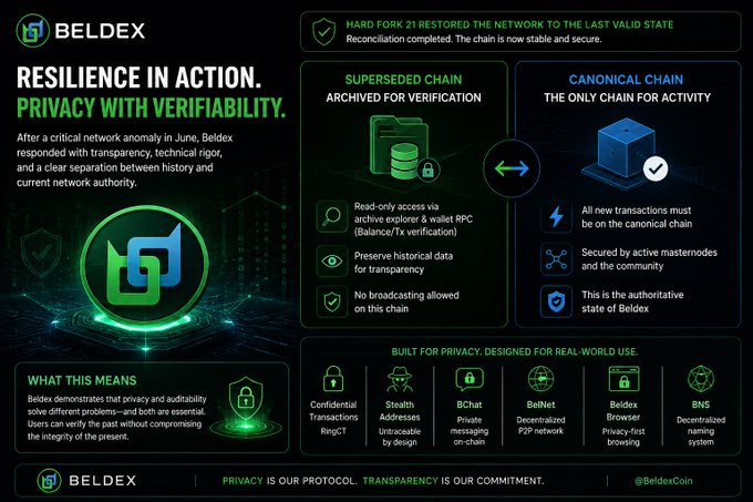 A Beldex infographic titled 'Resilience in Action. Privacy with Verifiability' detailing their Hard Fork 21 response, showing the separation between Superseded Chain (archived for verification) and Canonical Chain (the only chain for activity).