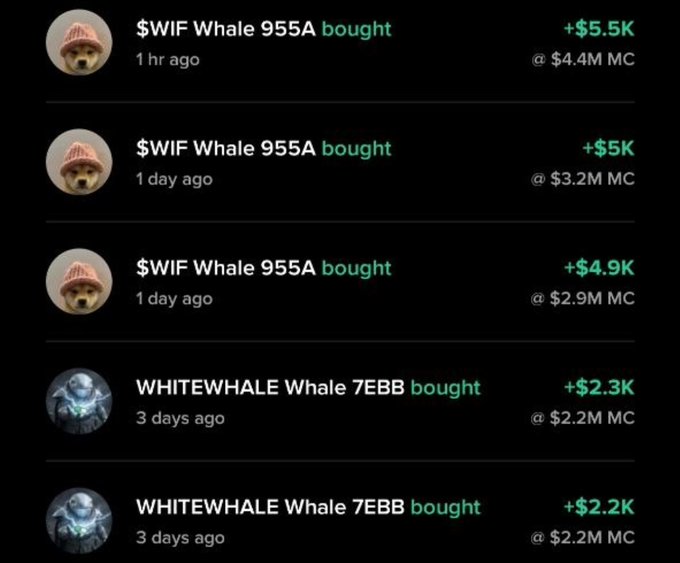 A crypto tracking app displays whale purchase alerts, showing that "$WIF Whale 955A" bought $4.9K–$5.5K worth of a token at market caps ranging from $2.9M to $4.4M over the past day, while "WHITEWHALE Whale 7EBB" made two $2.2K–$2.3K purchases at a $2.2M market cap 3 days ago. The image supports the post's claim that whales associated with $WIF and WHITEWHALE have been accumulating the $TOES token (Solana contract address shown).