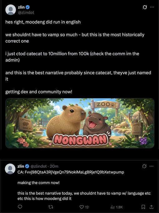 A developer named "zlin" (@zlindot) posts on Twitter/X about relaunching the "Catecat" project as "Nongwan," comparing it to Moodeng as the "most historically correct" English version, and announces they have CT0ed catecat to 10 million from 100K, with the contract address CA: FvVj98QtaA3RjVjeQn79NoKiMaLgBRje1Q9bXetwpump.