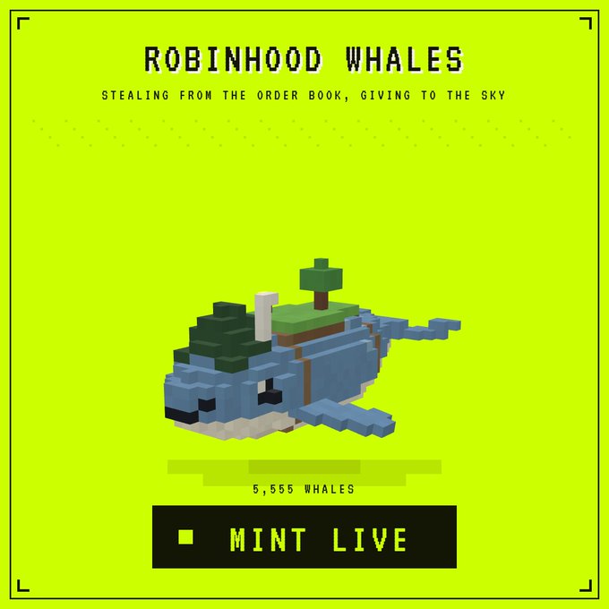 Promotional graphic for 'ROBINHOOD WHALES' NFT collection with tagline 'STEALING FROM THE ORDER BOOK, GIVING TO THE SKY,' featuring a pixel art whale on a green background and 'MINT LIVE' button for 5,555 whales.