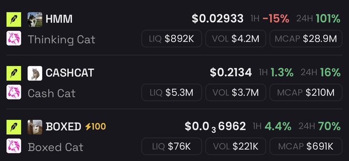A screenshot showing a crypto token list with entries "HMM" (Thinking Cat, $0.02933), "CASHCAT" (Cash Cat, $0.2134), and "BOXED" (Boxed Cat, $0.00036962), highlighting the BOXED token's 70% 24-hour surge—aligning with the post celebrating it as the most undervalued and memeable cat coin that "deserves much higher from here."