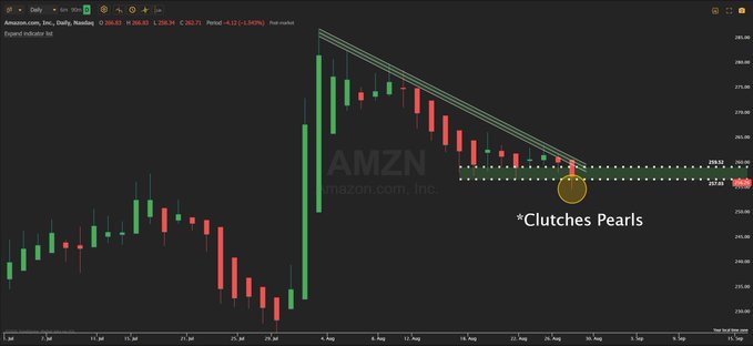 Daily candlestick chart of Amazon.com, Inc. (AMZN) showing a descending trendline from early August with a highlighted yellow circle marking a key support level and an annotation reading '*Clutches Pearls' near the $258.68 price area.