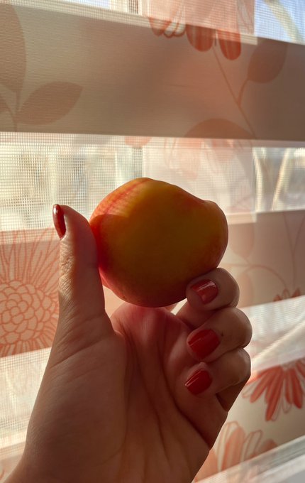 A close-up photograph of a hand with red nail polish holding a reddish-yellow fruit (likely a peach) against a sunlit window with floral curtains.