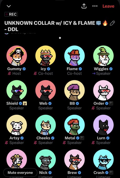 A screenshot of a Discord voice channel called 'UNKNOWN COLLAR w/ ICY & FLAME - DDL' featuring various pixel-art avatar icons with usernames like Gummy, icy, Flame, Wiggles, Shield, Web, BB, Order, Artsy, Cheeks, Metal, and Lurn.