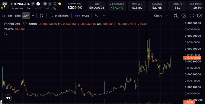 A DexScreener chart for the StonkCats token (0xc527...2a1228) showing a market cap of $309.9K and a 24H change of +67.24%, with price action displayed in a candlestick chart.