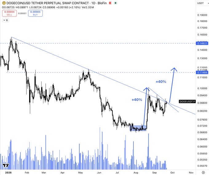 Daily candlestick chart of DOGE/USDT perpetual swap contract on BloFin, featuring blue arrow annotations projecting +40% price gains toward $0.11484 and $0.11748 levels.