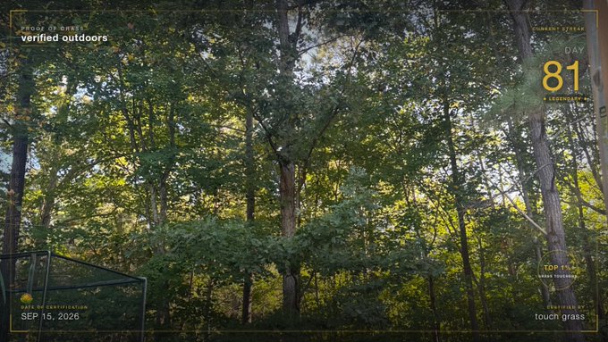 A view looking up into a dense canopy of green trees, overlaid with a yellow graphic interface containing text such as 'PROOF OF OUTDOOR verified outdoors', 'CURRENT STREAK DAY 81', 'SEP 15, 2026', and 'touch grass'.
