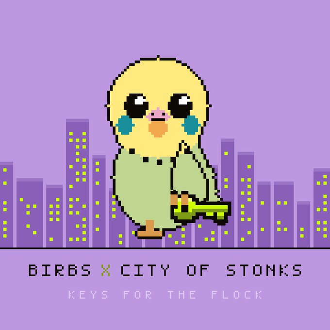 Pixel art of a yellow baby chick with large eyes and blue cheeks standing in front of a purple cityscape, with the text 'BIRBS X CITY OF STONKS' and 'KEYS FOR THE FLOCK' below.