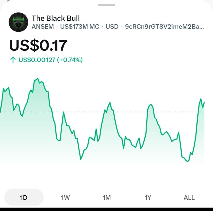 A cryptocurrency price chart for 'The Black Bull' (ANSEM) showing a current price of US$0.17 with a daily increase of +0.74%, displayed on the '1D' timeframe view.