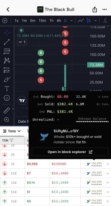 A chart for "$The Black Bull" shows an 11-day price surge of over 511% with a popup detailing that wallet "5URyWU...cY9Y" bought with $8.00 and sold for $382.4K, earning a $382.4K profit on the token ticker "r9c19Y."