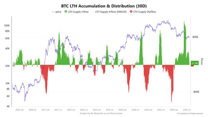 A chart titled 'BTC LTH Accumulation & Distribution (30D)' showing price trends and long-term holder supply inflows and outflows from 2020 to 2026, currently at 37.4K, analyzed by Rekt Research.