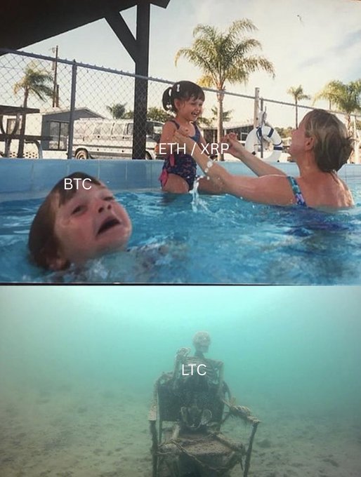 A crypto meme with two panels: top panel shows children in a pool labeled 'ETH/XRP' with one child labeled 'BTC' struggling in the water; bottom panel shows a skeleton on a chair underwater labeled 'LTC'.