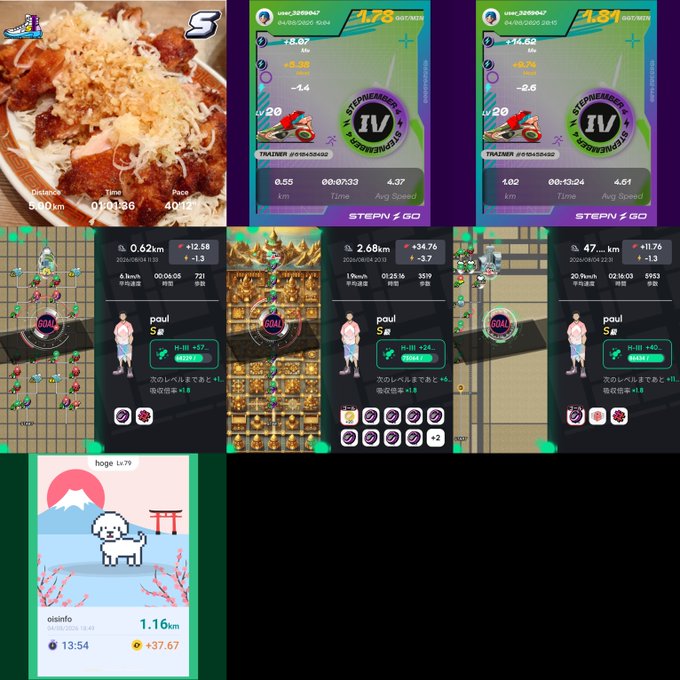 A collage of screenshots showing various activities including a food delivery order of rice, STEPN GO running app stats, Pokémon GO gameplay catching Paul, and a Tamagotchi-style 'hoge' character (oisin10) at 1.16m.