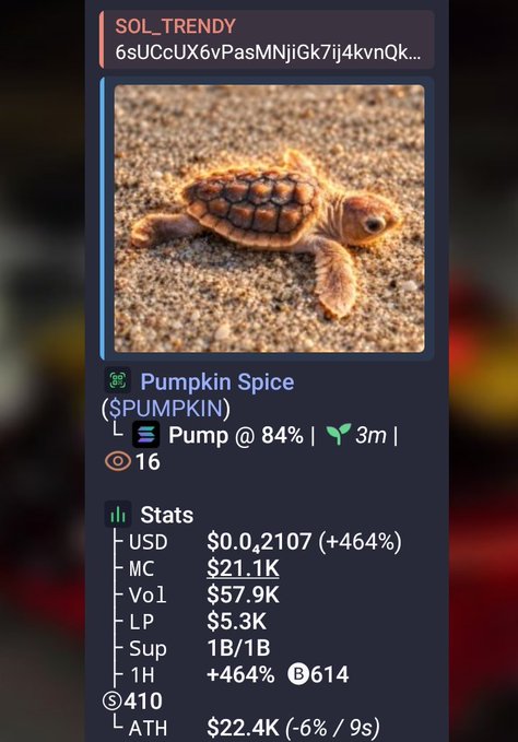 A screenshot from the Solana tracker showing a cryptocurrency called 'Pumpkin Spice' ($PUMPKIN), featuring an image of a baby sea turtle on sand, with stats showing a 464% gain.