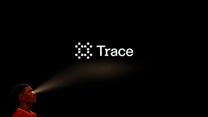 The image shows a dark scene with a young person in an orange shirt using a flashlight to illuminate a logo that reads "Trace" (with a dotted pattern icon) in the center of a black background. The flashlight metaphor visually represents the post's message, suggesting that Trace is a tool that "shines a light" on data through its public audit and search platform, helping users see and understand information that would otherwise be hidden in the dark.