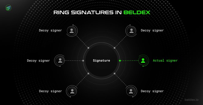 A diagram titled 'RING SIGNATURES IN BELDEX' illustrating a cryptographic concept with one 'Actual signer' highlighted in green among multiple 'Decoy signers' connected to a central signature node.