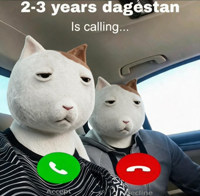 Two unimpressed cats sit in a car with a phone call screen overlay reading "2-3 years dagestan Is calling..." with Accept and Decline buttons, humorously ignoring the call to mock the trader who keeps selling KET at every high.