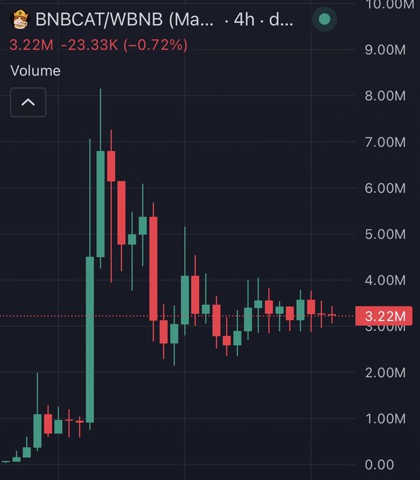 A 4-hour candlestick chart of $BNBCAT/WBNB shows the token's price peaking near 8.00M before declining and consolidating around the current level of 3.22M (down 0.72% at -23.33K). Despite the visible downtrend and consolidation pattern, the post frames the setup as bullish, anticipating a major upward "BIBLICAL" pump from these support levels.
