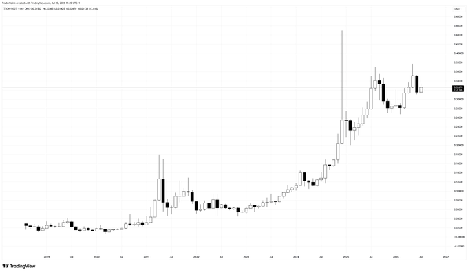 A TradingView monthly candlestick chart of TRX/USDT on Binance from 2019 to 2026 shows TRX steadily rising from near $0.00 to around $0.28–$0.30, illustrating the post's claim that $TRX has been in a sustained bull market since launch.