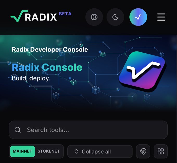 Screenshot of the Radix Console Developer Console (BETA) interface, showing a banner reading 'Radix Console - Build, deploy.' with options for MAINNET and STOKENET at the bottom.