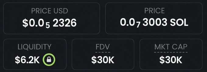 A crypto token dashboard displaying a price of $0.052326 USD (0.0073003 SOL) with $6.2K locked liquidity, an FDV and market cap of $30K each. The image relates to the post promoting a newly discovered memecoin with low market cap and minimal liquidity, fitting the narrative of an early-stage opportunity before potential significant gains.
