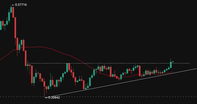 A candlestick price chart of TRX showing a downward trend from a high of $0.37716 to a low of $0.30842, with a rising trendline suggesting potential upside momentum. The image illustrates the trader's interest in accumulating TRX as it appears to be forming an ascending pattern near the lows.