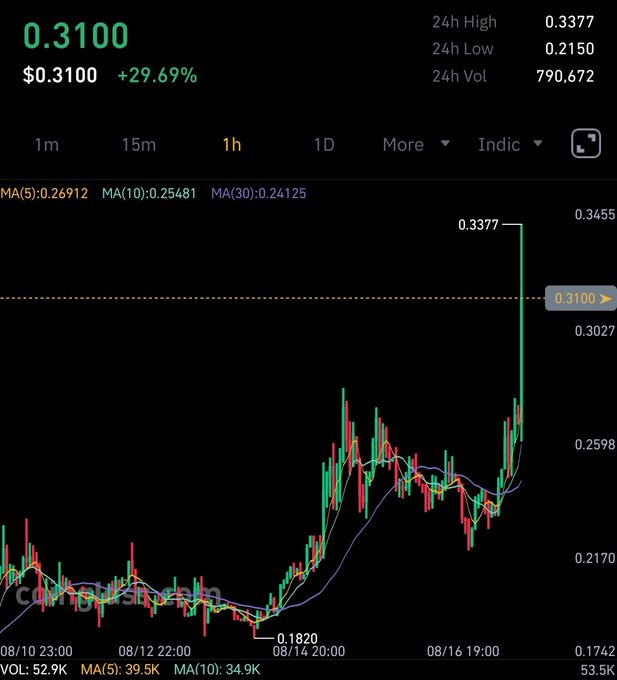 A trading chart displays the $ANSEM token with a price of $0.3100, up 29.69%, reaching a 24-hour high of $0.3377 with a 24-hour volume of 790,672, illustrating the dramatic "BLACK BULL MODE" pump referenced in the post following the announcement of the blueoiz06 launchpad.