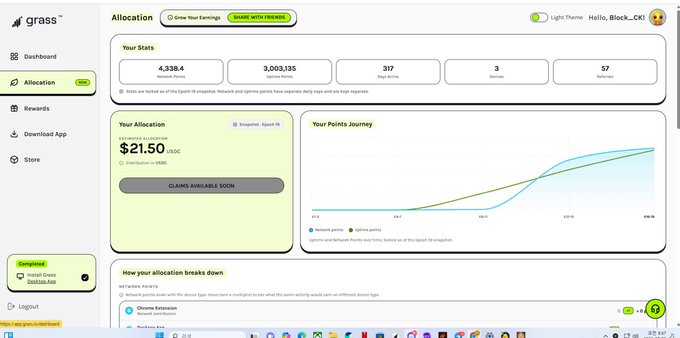 A 'grass' web dashboard showing the Allocation page with stats (4,338.4 Network Points, 3,003,135 Uptime Points, 317 Days Active, 3 Referrals, 57 Referrals), an estimated $21.50 in USDC, and a points journey chart.