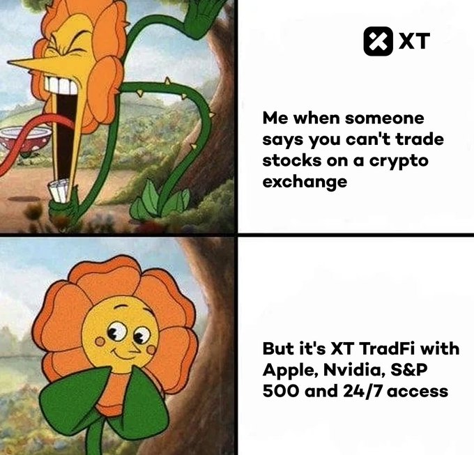 xt, xt and tradefi are three words appearing at the bottom of the image.