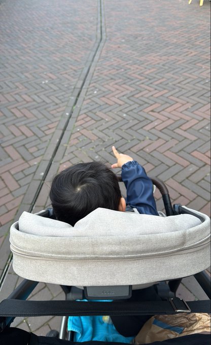 A child in a stroller points at a wet brick pavement, photographed from behind.