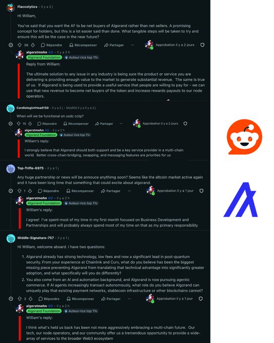 A Reddit thread discussion featuring responses from 'algorandmike' (Algorand Foundation) about the project's focus on net buyers, multi-chain futures, and post-quantum security.