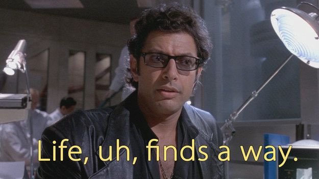A man wearing glasses and a black leather jacket sits in what appears to be a lab or workshop setting with yellow text overlay reading "Life, uh, finds a way." The image is a humorous meme pairing the famous Jurassic Park quote (referencing Ian Malcolm, portrayed by Jeff Goldblum) with the caption about life being great, playing on the double meaning of "life" both as existence itself and as personal circumstances.