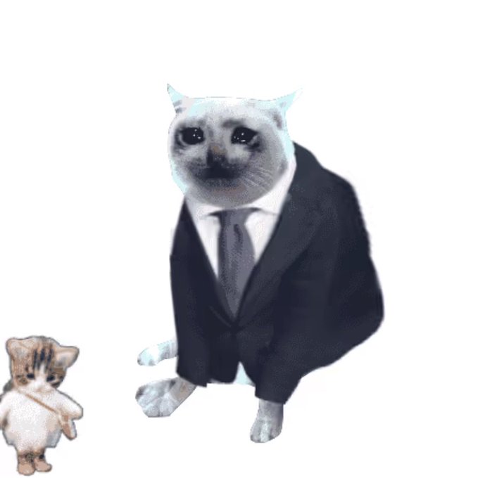 A white cat wearing a formal black suit and tie sits upright next to a small cartoon kitten figurine.