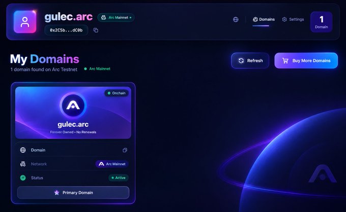 A dashboard for gulec.arc on the Arc Mainnet showing the domain status as Active with a 'Buy More Domains' button and a 'Primary Domain' option.