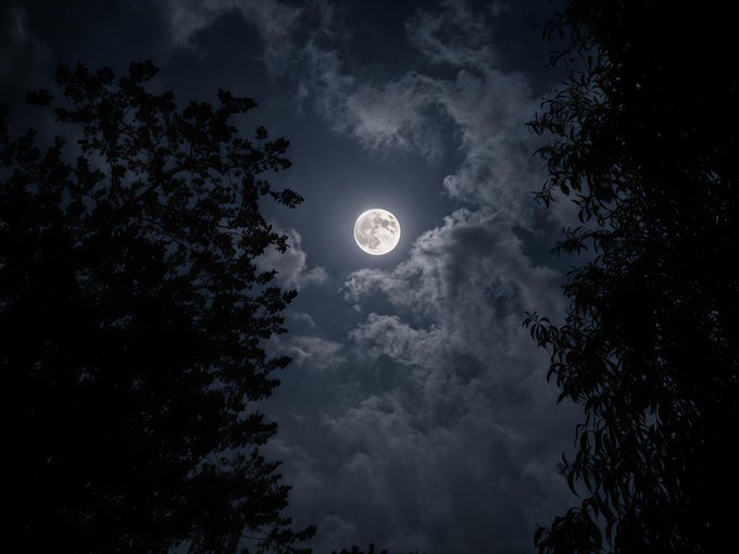 A nighttime photograph of a full moon partially obscured by dark, wispy clouds, framed by the black silhouettes of trees on either side.