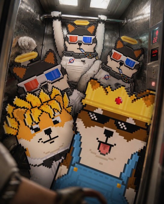 The image features a group of four cartoon dogs wearing sunglasses, crowns, and costumes, standing inside an elevator with buttons visible above them. The caption reads "Good morning whiz not in was never in Fudge yeah !" which seems to be a reference to the popular video game "Fuzzywuzzy".