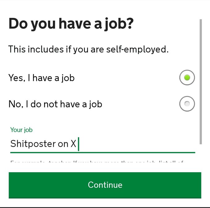 A job form asking 'Do you have a job?' with 'Yes, I have a job' selected and 'Shitposter on X' typed in the job field.