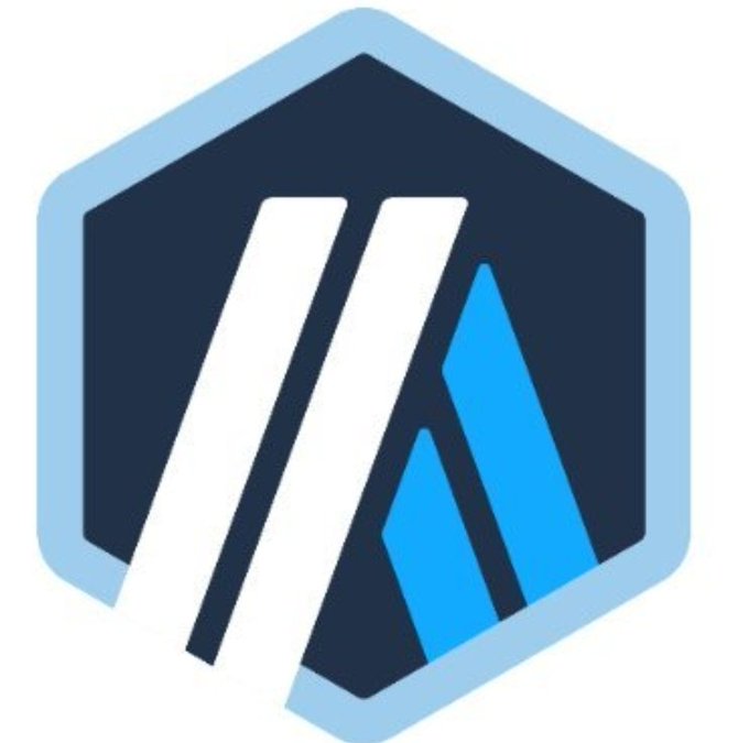 The image features a logo for an organization named "An example that best project I get @arbitrum No one can hate this one it's my bet bro". The logo consists of two vertical lines, each with a different color - white on top and blue at the bottom. These lines are arranged in a hexagonal shape, which is a common design for logos due to its simplicity and versatility. The organization's name is written below the logo in black text.