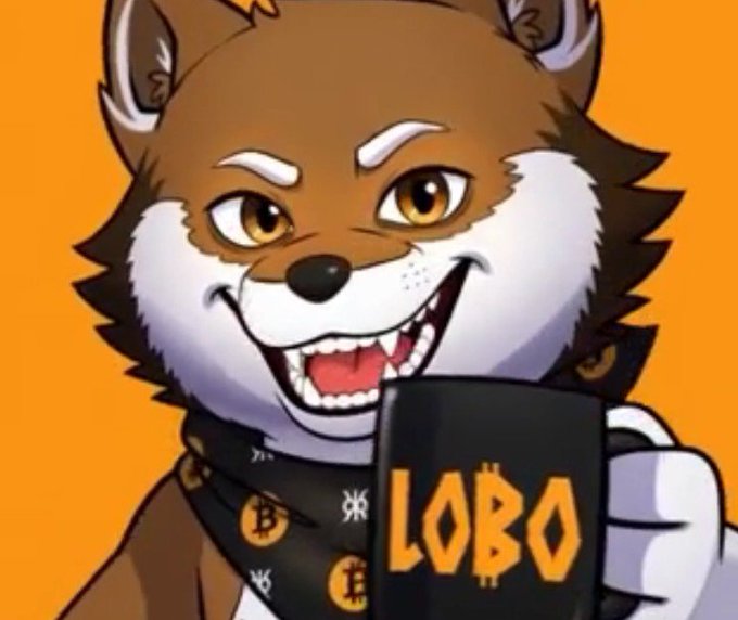 An illustrated anthropomorphic brown and white wolf/shiba character wearing a Bitcoin-patterned bandana and holding a black mug that reads 'LOBO' with a Bitcoin 'B' replacing the 'O'.
