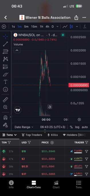A cryptocurrency trading app screenshot showing a WNBA/SOL token chart with a price of 0.00006890 and a Top Traders list with various buy/sell positions.