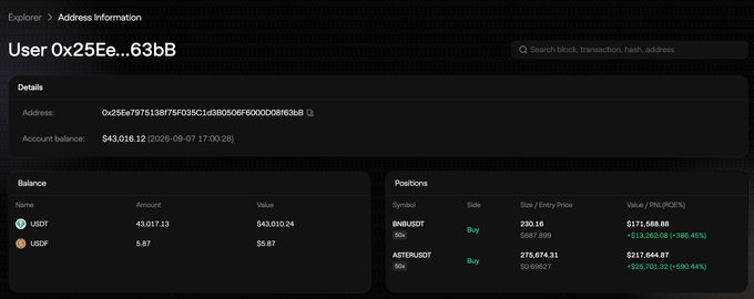 A dark-themed blockchain explorer page displays wallet details for address "User 0x25Ee...63bB" holding $43,016.12 in assets, including 43,017.13 USDT and 5.87 USDe. The "Positions" section confirms the post's claims, showing 230 BNB long at $171,588.98 (+$13,263.59/+386.51%) and 275,674.31 ASTER long at $217,644.67 (+$25,103.12/+590.44%), validating the trader's leveraged long positions on BNB and ASTER.