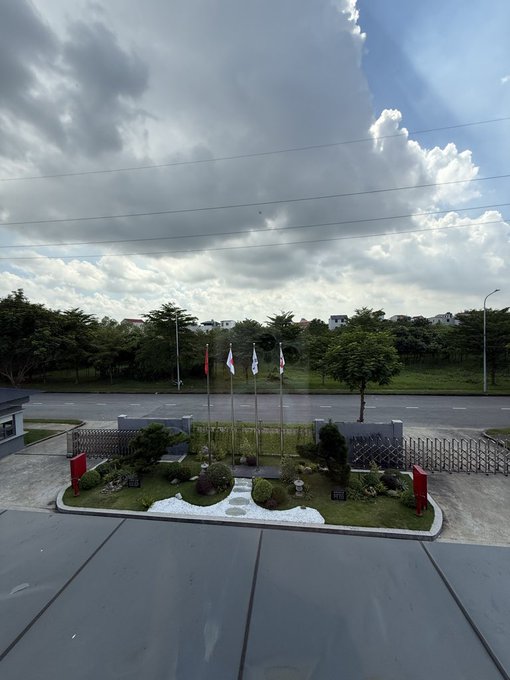 An overcast view from a rooftop showing a small garden with three flags, a paved road, and trees under a cloudy sky.