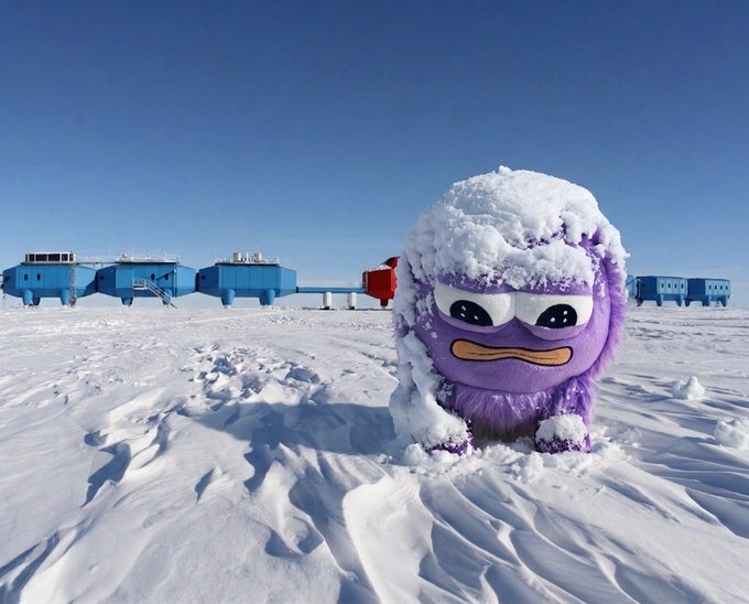 The image features a purple monster or animal standing in the snow, surrounded by blue buildings that appear to be part of an ice hotel. The creature has its eyes closed, giving the impression that it's sleeping or resting. The scene suggests a wintery setting with the monster as the main subject and the ice hotel as the backdrop.