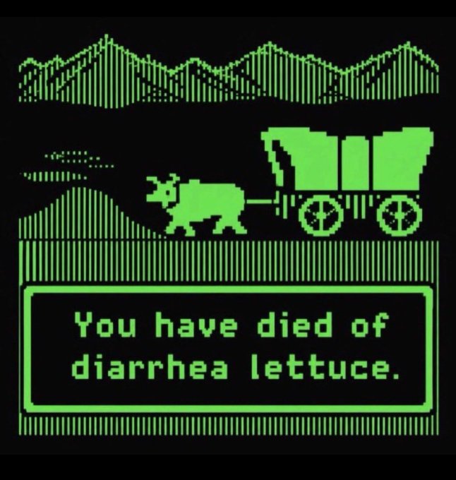 A retro green-on-black pixel-art screen depicts an ox pulling a covered wagon across a mountain landscape, with a text box reading "You have died of diarrhea lettuce." This is a famous, humorous "Oregon Trail"-style death screen — fitting for the post, as it taps into nostalgic hacker/console culture favored at Black Hat and DEF CON rather than the polished art scene at Art Basel or NFT NYC.