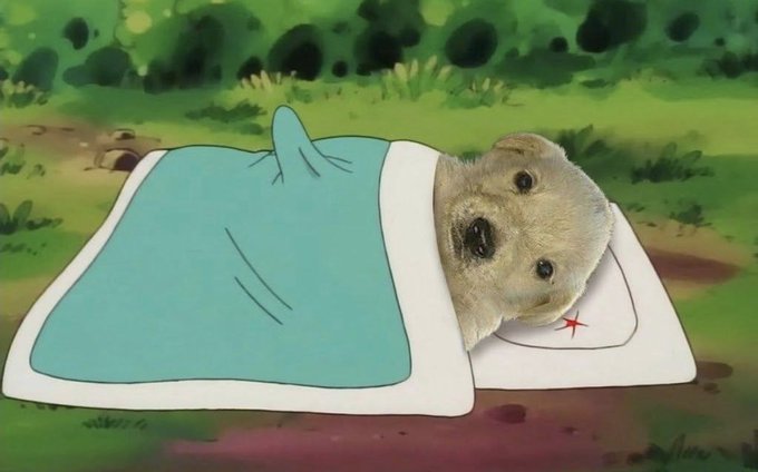 Whimsical digital art of a bear's head resting on a pillow with a teal blanket, blending a real photo with illustrated style.