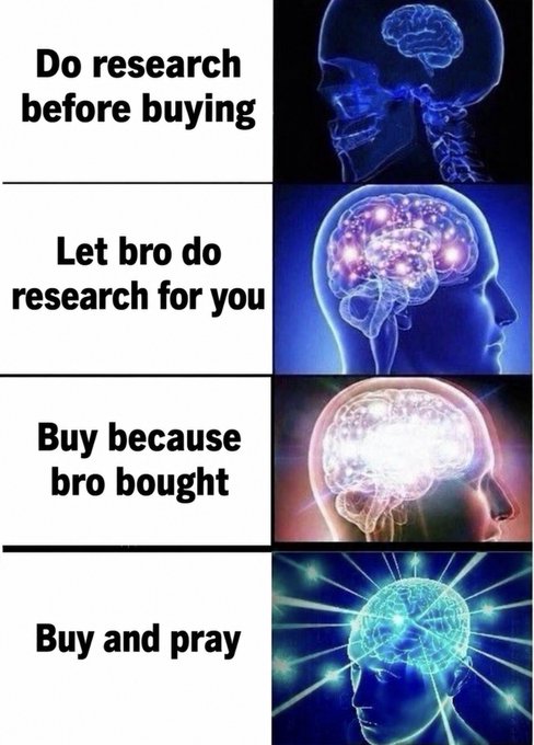 A four-panel 'expanding brain' meme with text progressing from 'Do research before buying' to 'Let bro do research for you' to 'Buy because bro bought' to 'Buy and pray.'