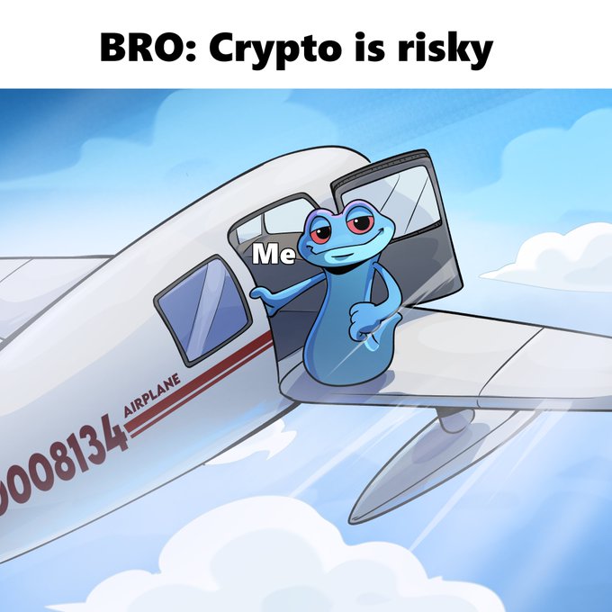 A meme featuring the "Brain Frog" character stepping out of an airplane, captioned "BRO: Crypto is risky" while "Me" is labeled on the frog, suggesting reckless crypto investment.