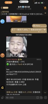A screenshot of a WeChat conversation where users are discussing Binance founder "CZ" being detained, sharing a "CZ被捕了" (CZ was arrested) article and commenting "我太难受了" (I feel terrible), alongside a discussion of the $utility token price dropping to 0.06 with an 8.39% 24-hour decline.