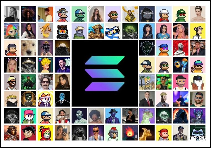 A grid of NFT profile picture avatars surrounds the teal-to-purple Solana logo in the center. The image relates to the Solana blockchain ecosystem, showcasing the diversity of NFT collections within its community.