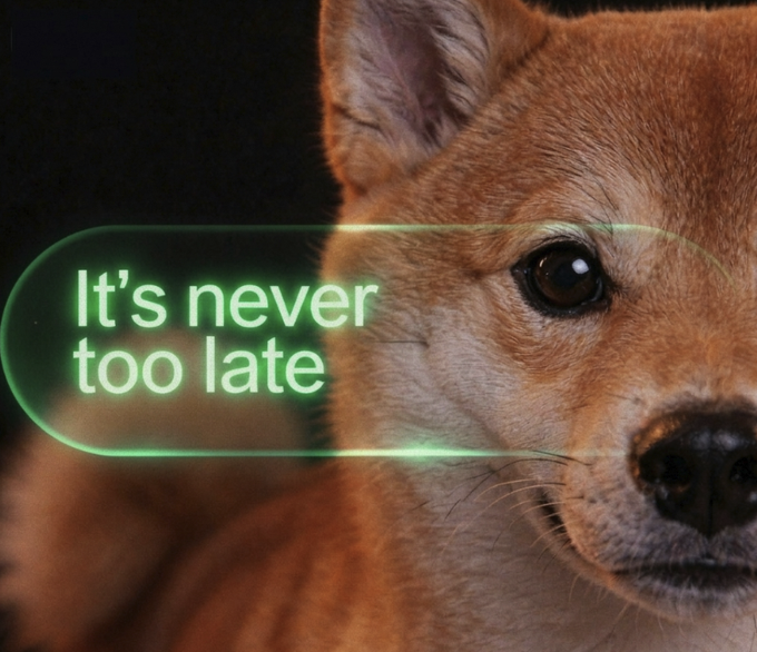 Close-up of a Shiba Inu dog with a glowing green neon speech bubble overlay reading 'It's never too late'.